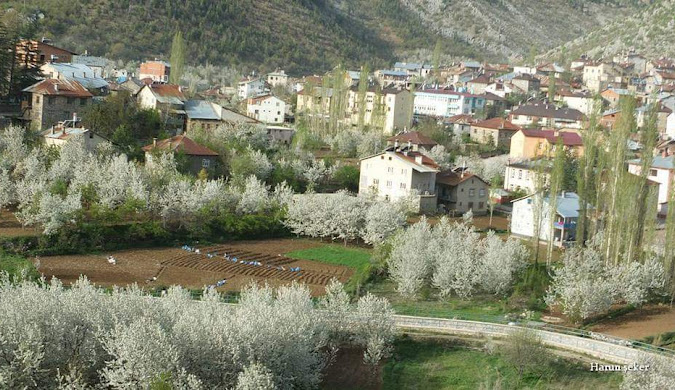 Konya Hadim Korualan (Gezlevi) Yatırım Rehberi | Tarla, Bahçe ve GayrimenFırsatları 