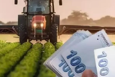 Hobi Bahçesi Kurmak İçin Tarla Seçimi | Doğru Araziyi Nasıl Bulabilirsiniz?