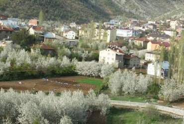 Gayrimenkul Değerleme Nasıl Yapılır? Tarla, Arsa ve Ev Değeri Nasıl Hesaplanır?