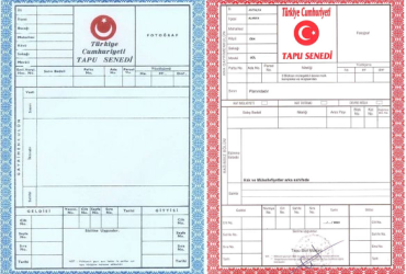 Hobi Bahçesi Kurmak İçin Tarla Seçimi | Doğru Araziyi Nasıl Bulabilirsiniz?