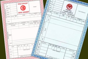 Hobi Bahçesi Kurmak İçin Tarla Seçimi | Doğru Araziyi Nasıl Bulabilirsiniz?