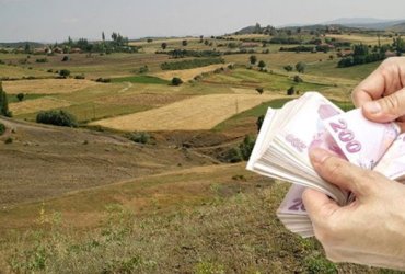 Hobi Bahçesi Kurmak İçin Tarla Seçimi | Doğru Araziyi Nasıl Bulabilirsiniz?