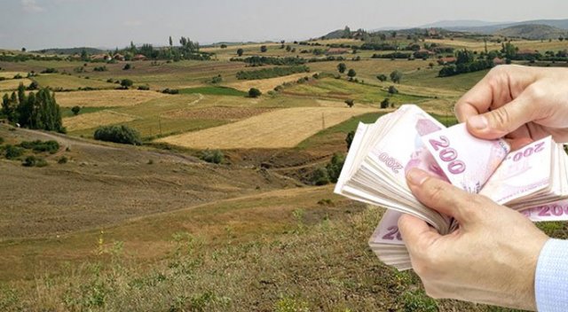Tarla Alırken Dikkat Edilmesi Gereken 10 Önemli Nokta | Yatırım Rehberi