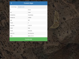 GENİŞ METRAJ & RESMİ YOL AVANTAJI Yatırımın En Karlı Hali: Göynükkışla’da 2.5 Dönüm Bağ!