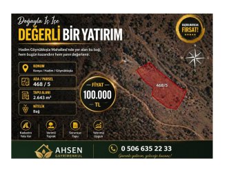 YATIRIMLIK BAĞ – KONYA HADİM GÖYNÜKKIŞLA