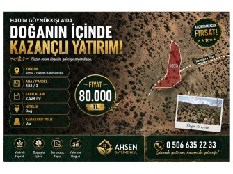 GENİŞ METRAJ & RESMİ YOL AVANTAJI Yatırımın En Karlı Hali: Göynükkışla’da 2.5 Dönüm Bağ!