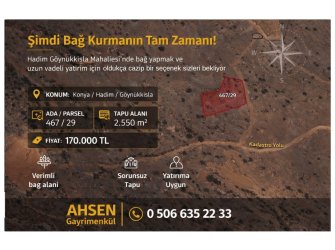 KONYA HADİM GÖYNÜKKIŞLA'DA SATILIK 2.550 m² YATIRIMLIK BAĞ
